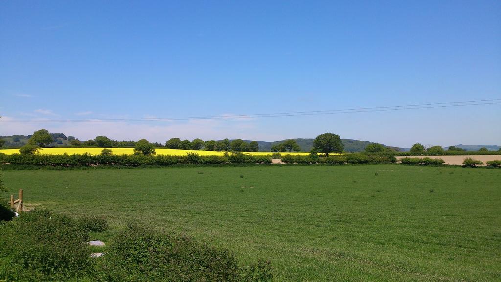 مبيت وإفطار Leintwardine Upper Letton Farm المظهر الخارجي الصورة