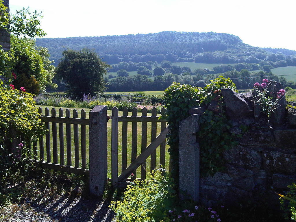 مبيت وإفطار Leintwardine Upper Letton Farm المظهر الخارجي الصورة