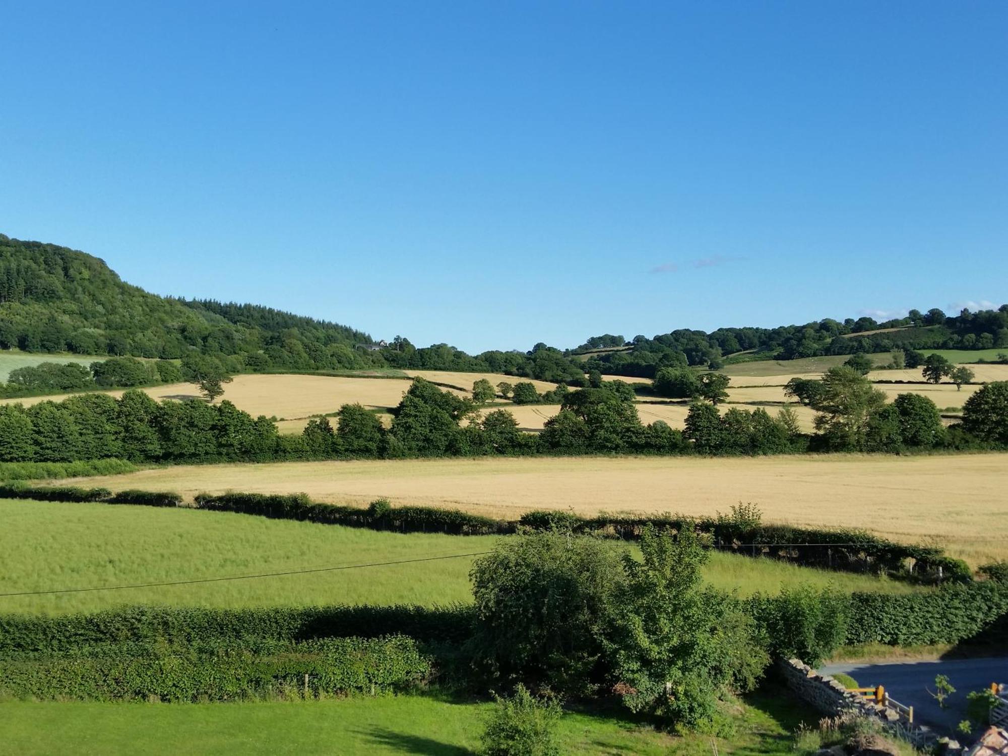 مبيت وإفطار Leintwardine Upper Letton Farm المظهر الخارجي الصورة